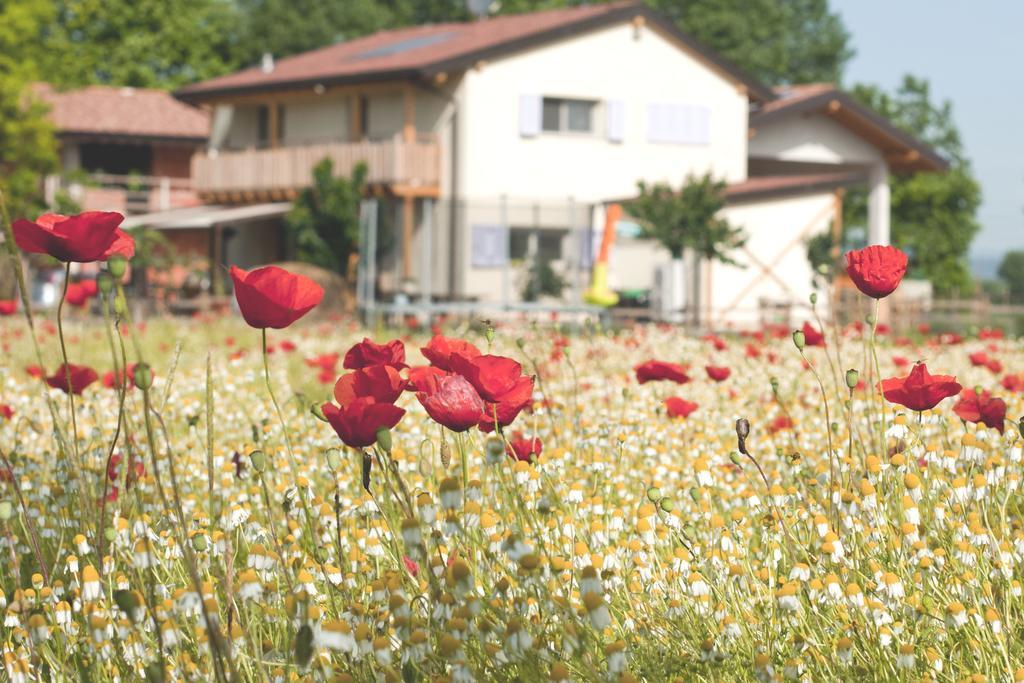 Comeback Stezzano Buitenkant foto