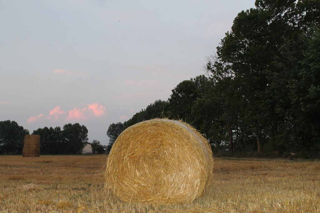 Comeback Stezzano Buitenkant foto