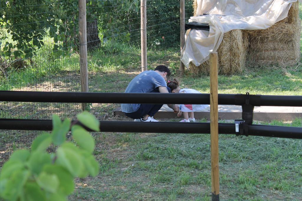 Comeback Stezzano Buitenkant foto